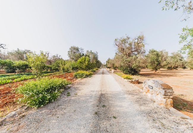 Trullo à Ceglie Messapica - Trullo Isabella by Pugliadamare Trullo à Ceglie Messapica - Trullo Isabella by Pugliadamare